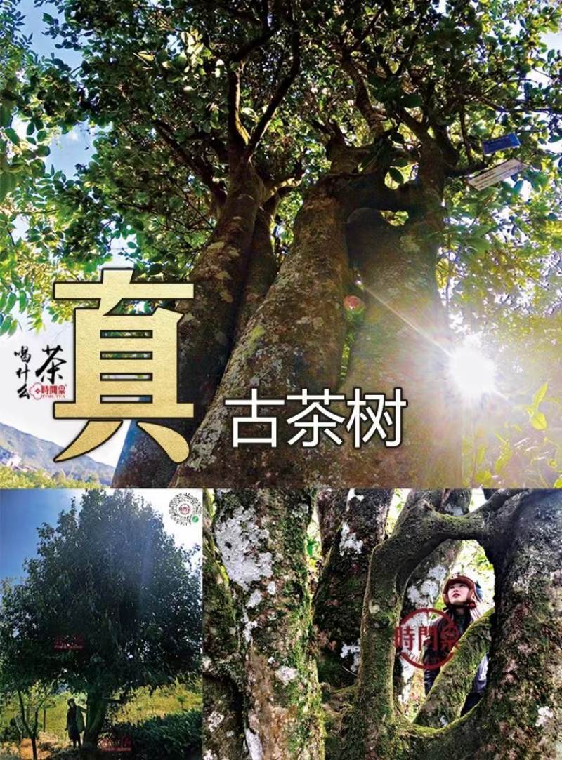 ����� ʱ���.jpg