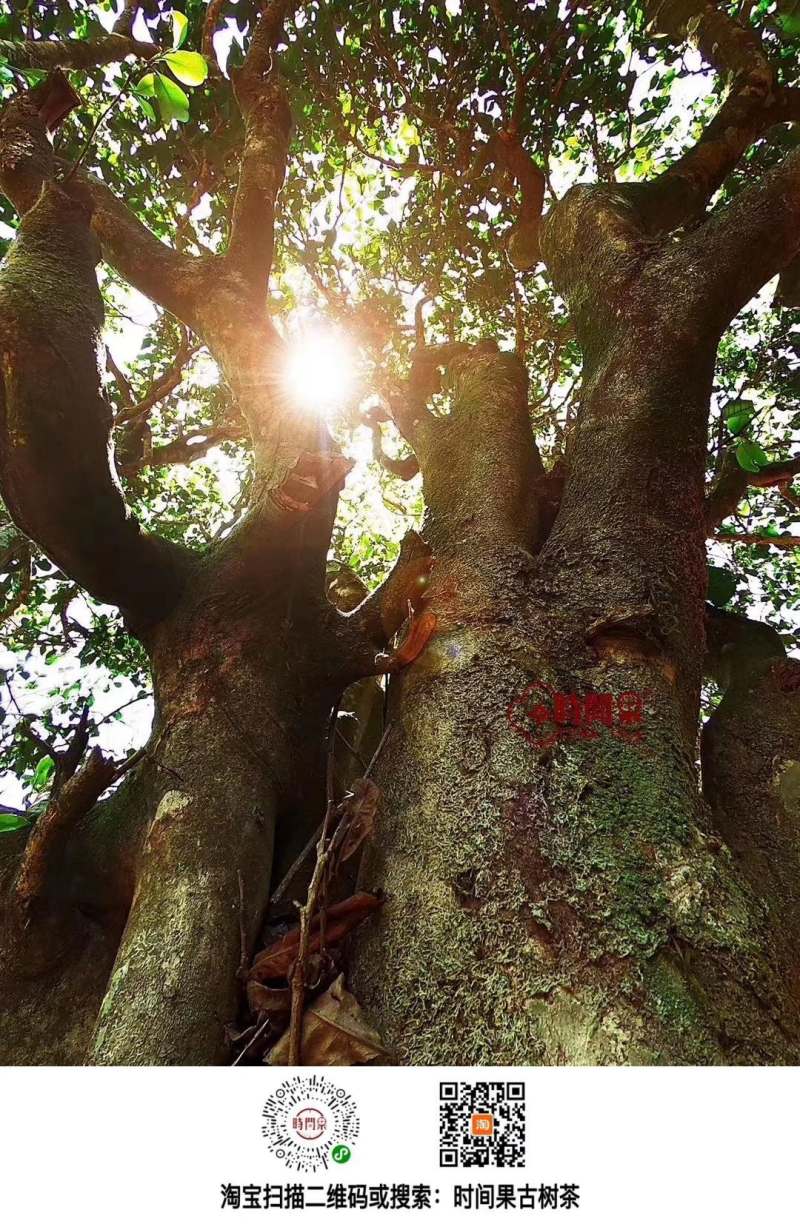 ����� ʱ���.jpg